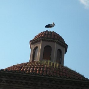 Έφεσος