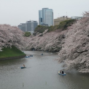 Chidori-ga-fuchi, Tokyo