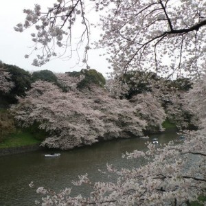 Chidori-ga-fuchi, Tokyo