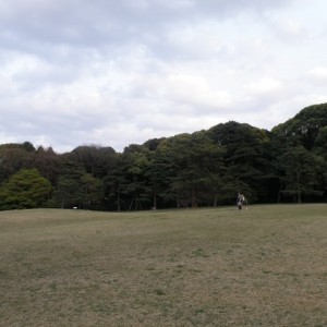 Yoyogi park, Tokyo