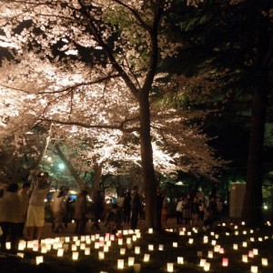 Στο cherry blossom festival της Takada