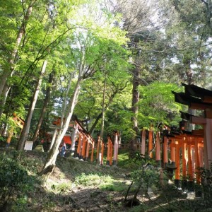 Fushimi Inari, Kyoto