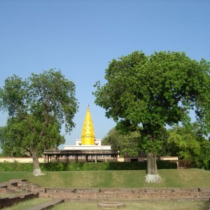 Lord Budha Temple (India, Varanasi)