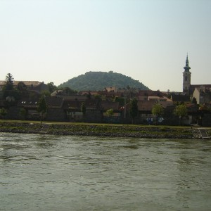 DSC03343