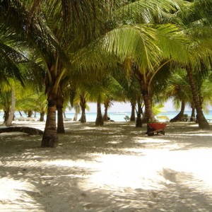 Saona Island