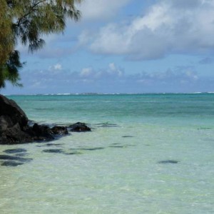 Ile Aux Cerfs