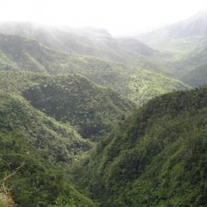 Black River (φαράγγι και εθνικό πάρκο)