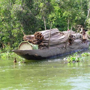 madagascar