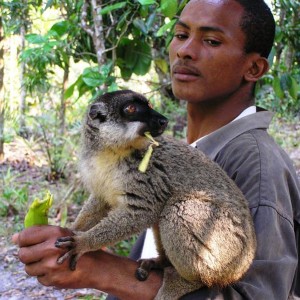 madagascar