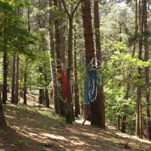 Bosque pintado