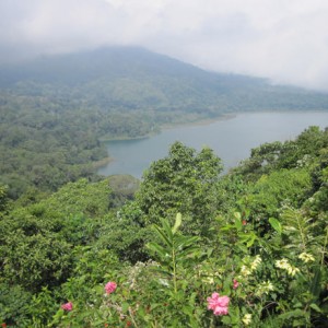 Λιμνη Buyan, Bali