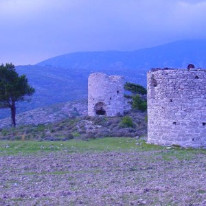 Μήλοι στον Μεσόκαμπο