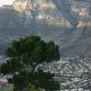 table_mountain2