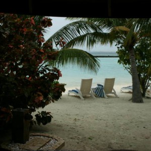 IMG_0023_1_2