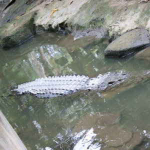 IMG_0576_3