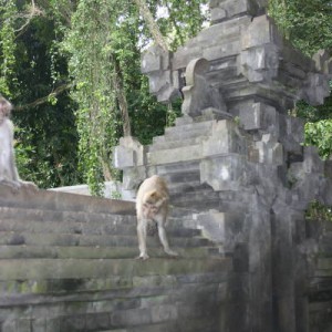 IMG_0728_16