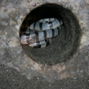 IMG_0759_18