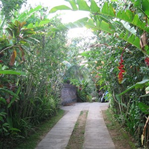 Δρoμάκι στο Ubud