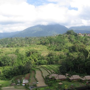 Bali countryside