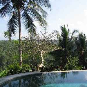 Sayan Terrace pool