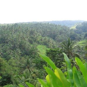 Θέα από το Sayan Terrace