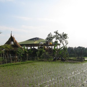 Ubud