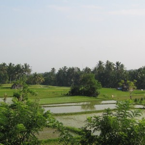 Ubud