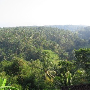 Ubud, Bali