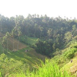 Ubud