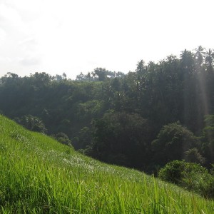 Ubud