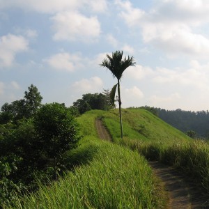 Ubud