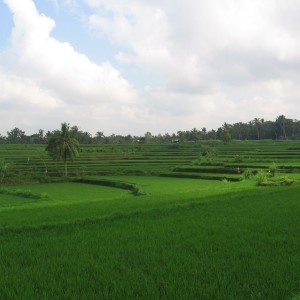 Ubud