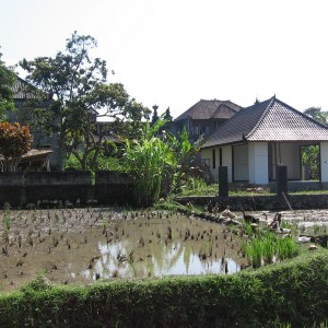 Ubud