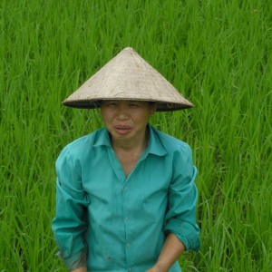 Γυναίκα - 1 - Βιετναμ