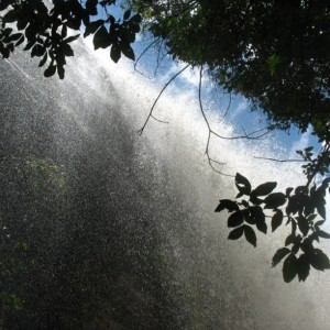 salto_capo