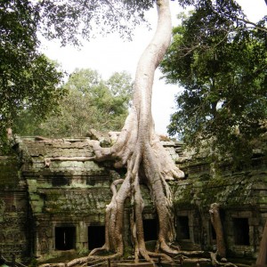 angkor1