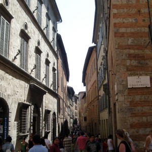 SIENA