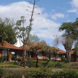 Lake Elementaita Lodge ή οι καλύβες του μπάρμπα Θωμά