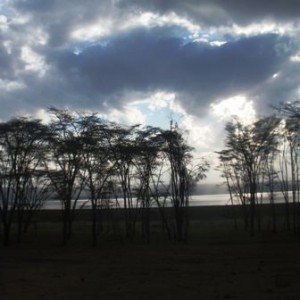 Λίμνη Νακούρου πριν το ηλιοβασίλεμα (και πάλι)