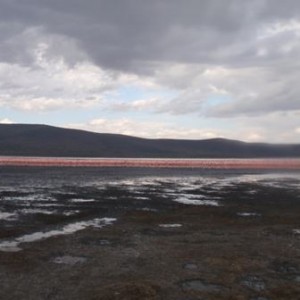 Λίμνη Νακούρου με φλαμίνγκος πριν το ηλιοβασίλεμα