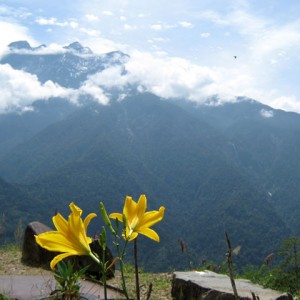 Mt. Kinabalu (Sabah)