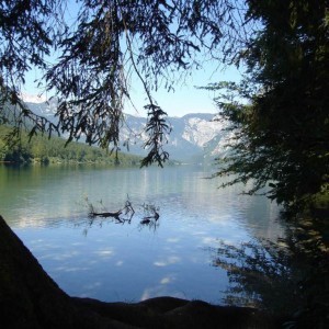 Λίμνη Bohinj