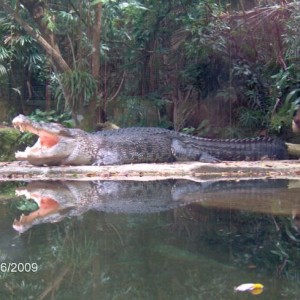 Singapore zoo