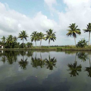 στα Backwaters της Κεραλας, νοτια Ινδια