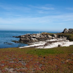 Pacific Grove