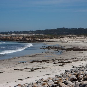 Pebble beach