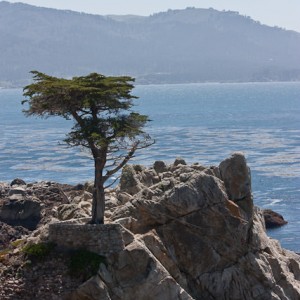 Pebble beach