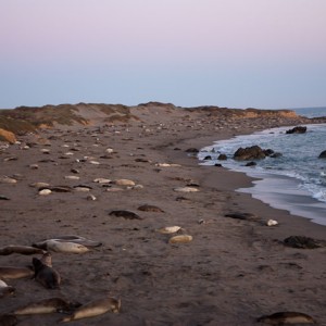 Piedras Blancas