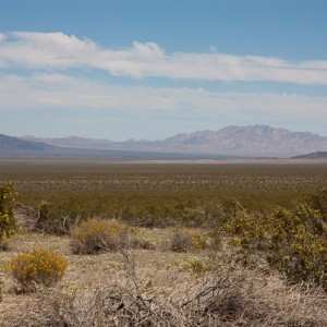 Joshua Tree National Park