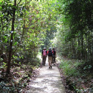 Εθνικό Πάρκο Niah, Sarawak